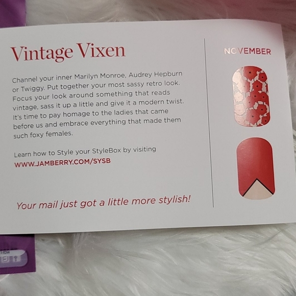 Jamberry Stylebox November 2014 Vintage Vixen new - Picture 4 of 4